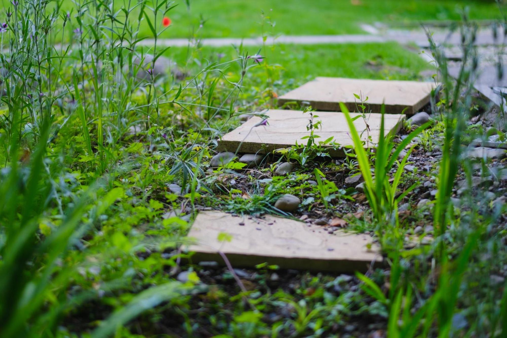 Tig Cottage - A Rural, Quirky, Pet Friendly 2 Bedroom Cottage Near Ballantrae Экстерьер фото